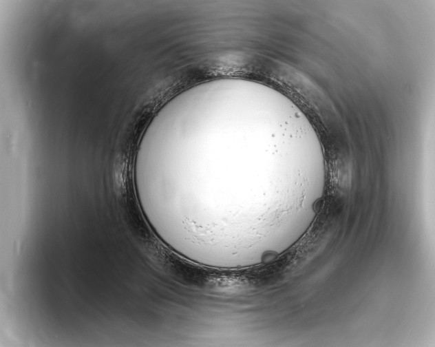 X0000093760503200710160839