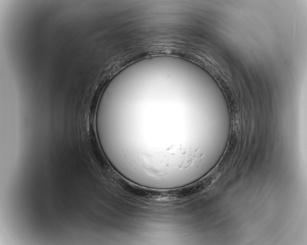 X0000093760504200710160839