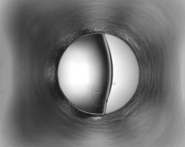 X0000093760509200710160839