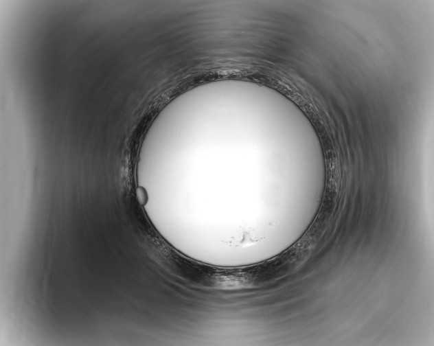 X0000093760510200710160839