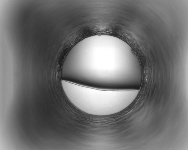 X0000093760515200710160839