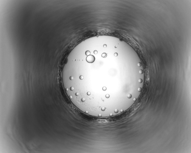 X0000093760519200710160839
