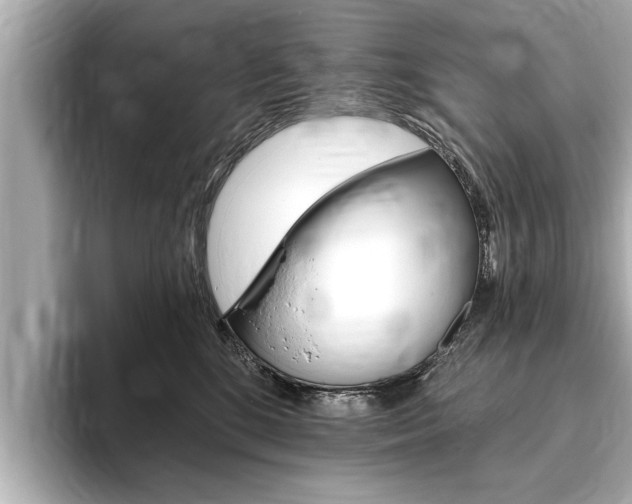 X0000093760520200710160838