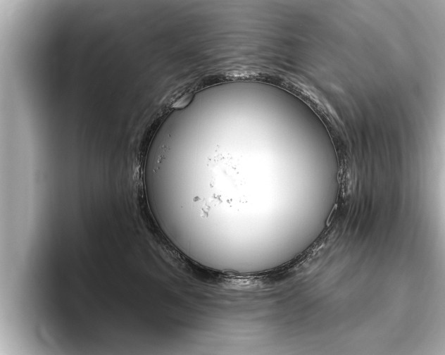 X0000093760521200710160838