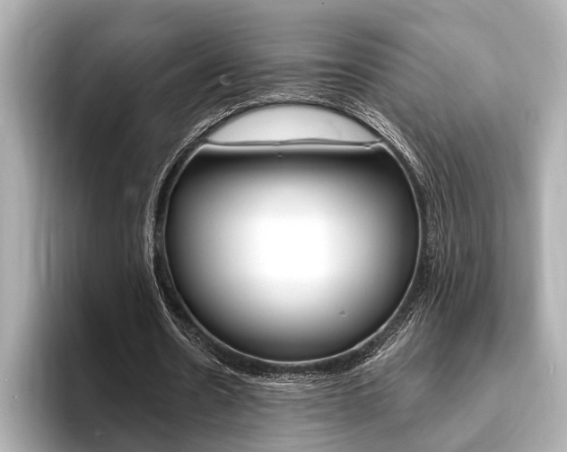 X0000093760530200710160838
