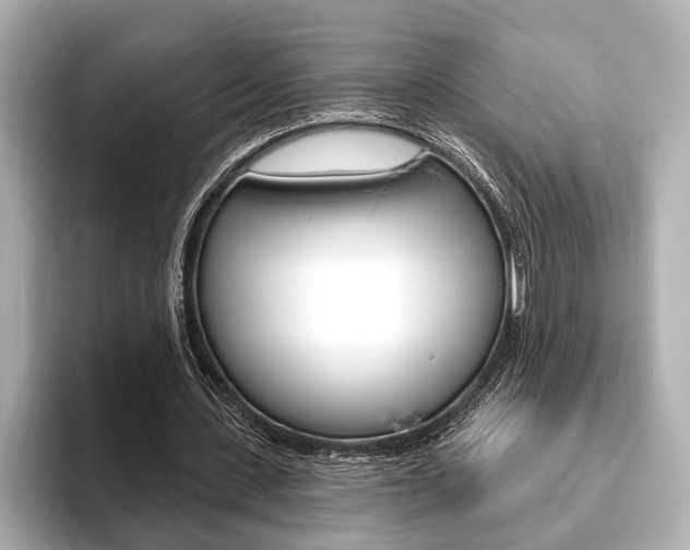 X0000093760531200710160838