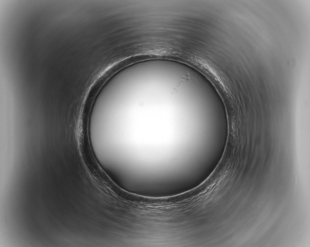 X0000093760532200710160838