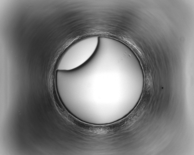 X0000093760533200710160838