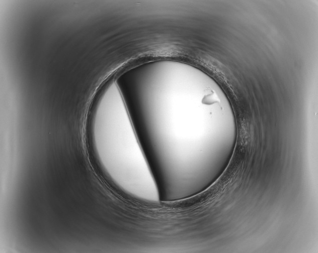 X0000093760535200710160838