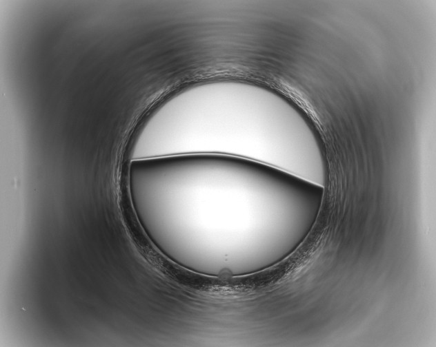 X0000093760538200710160838