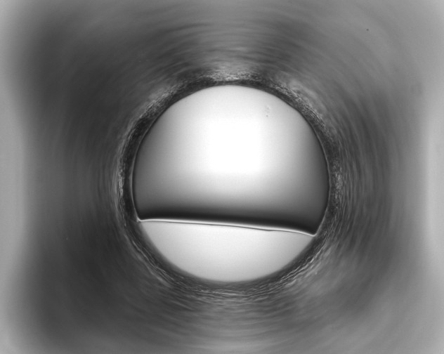 X0000093760539200710160838