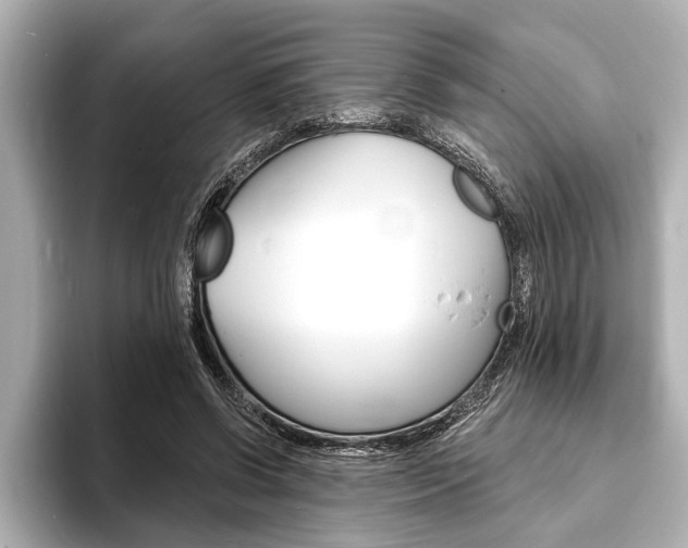 X0000093760542200710160838