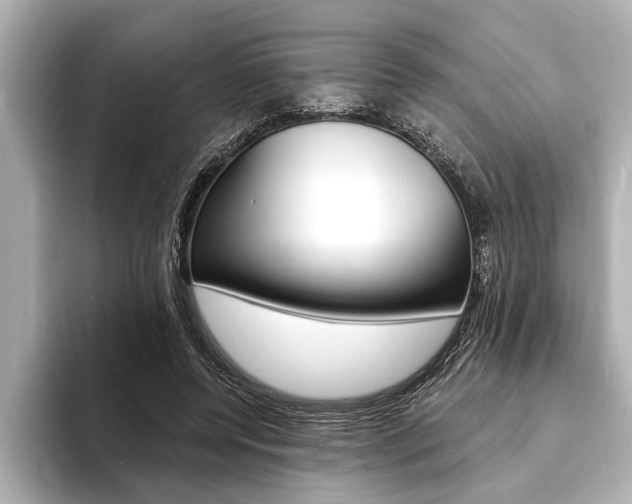 X0000093760544200710160838