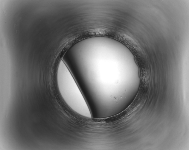 X0000093760548200710160838