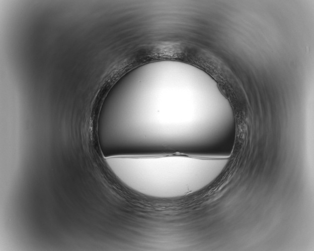 X0000093760552200710160838