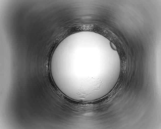 X0000093760553200710160838