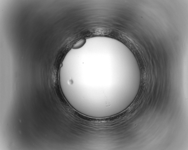 X0000093760554200710160838