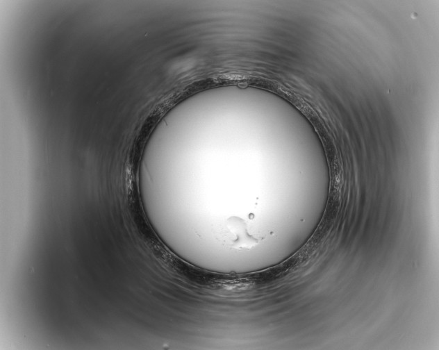 X0000093760555200710160838