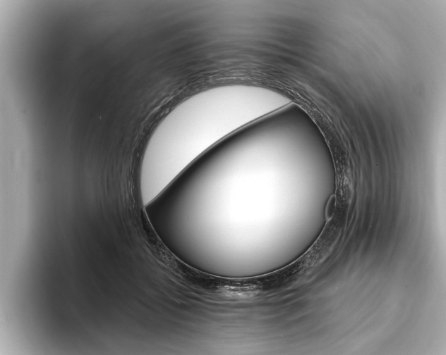 X0000093760556200710160838