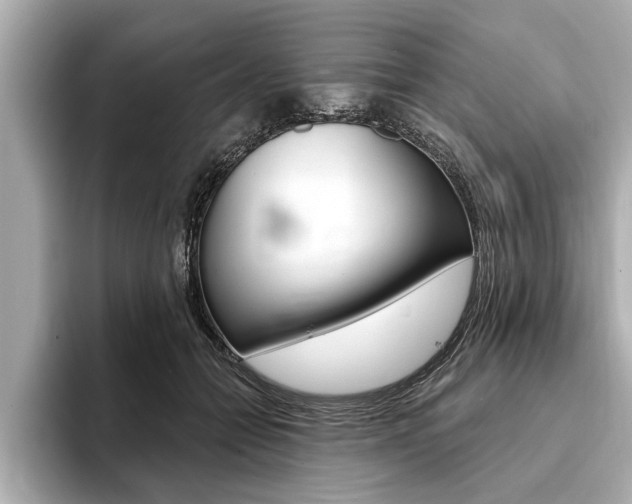 X0000093760558200710160838