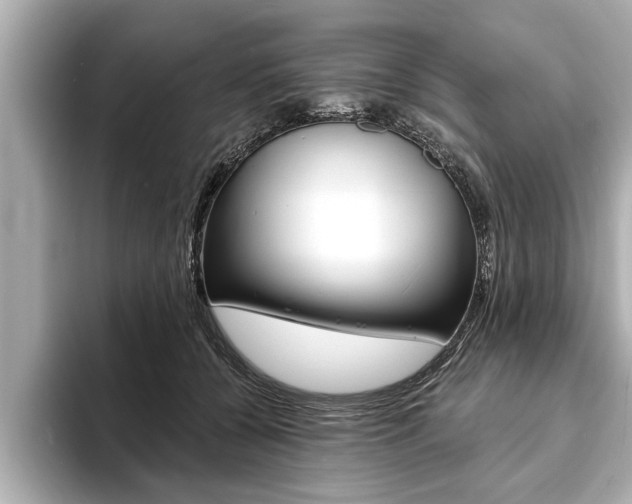 X0000093760560200710160838