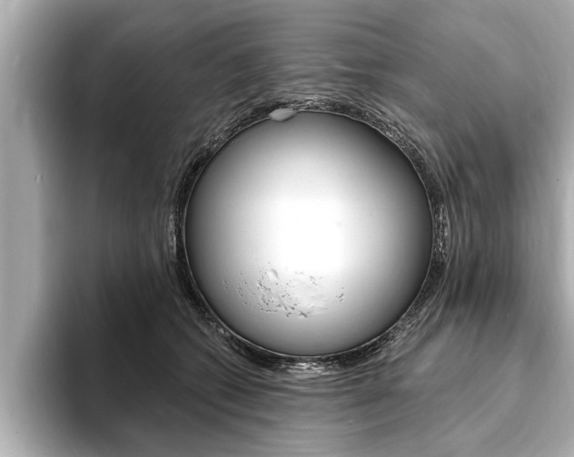 X0000093760562200710160838