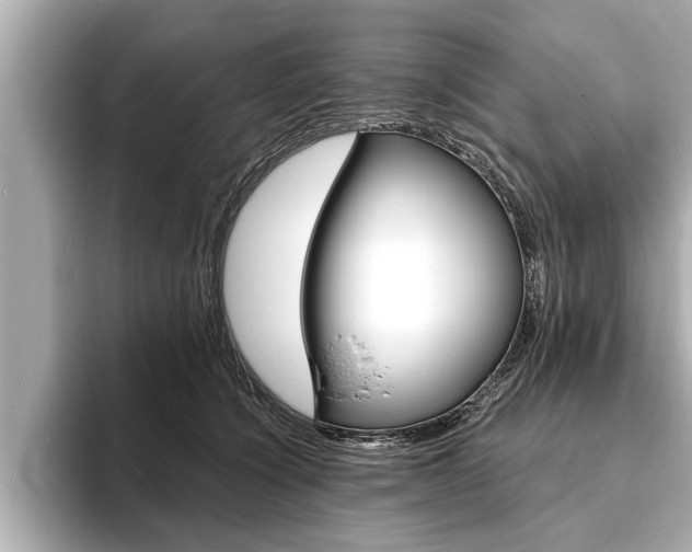 X0000093760564200710160838