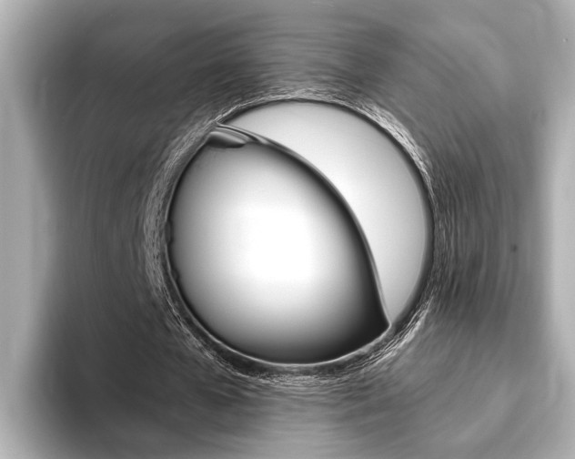 X0000093760577200710160838