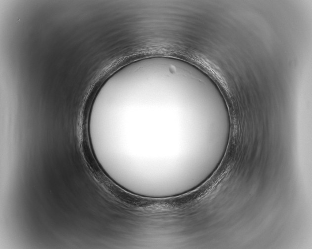 X0000093760578200710160838