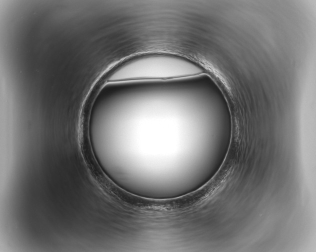 X0000093760580200710160838