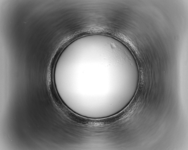 X0000093760582200710160838