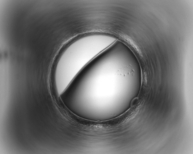 X0000093760588200710160838