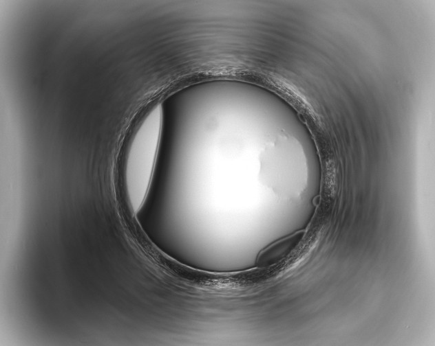 X0000093760589200710160838