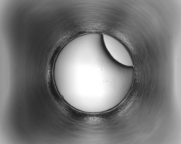 X0000093760590200710160838