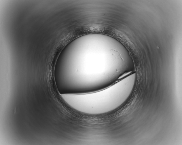 X0000093760593200710160838