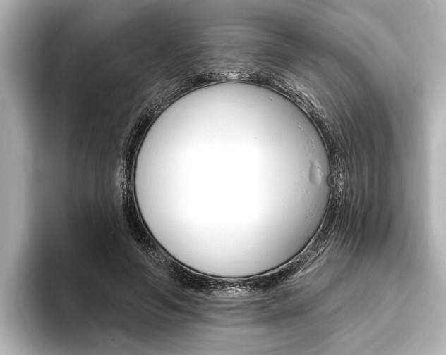 X0000093760594200710160838