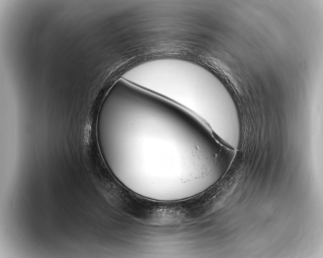X0000093760596200710160838