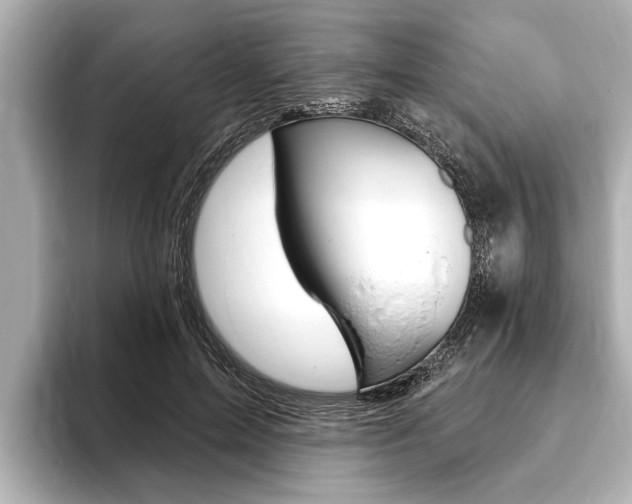 X0000093760599200710160837