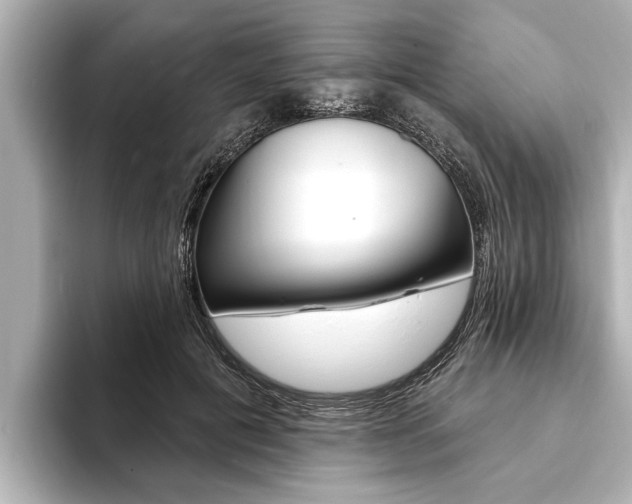 X0000093760601200710160837