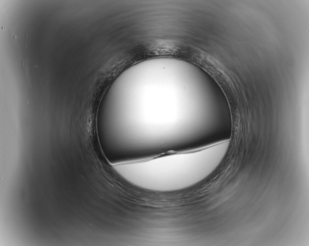 X0000093760604200710160837