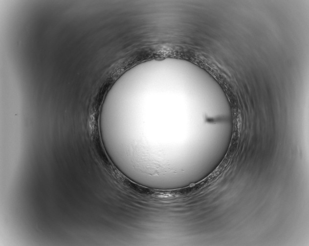 X0000093760611200710160837