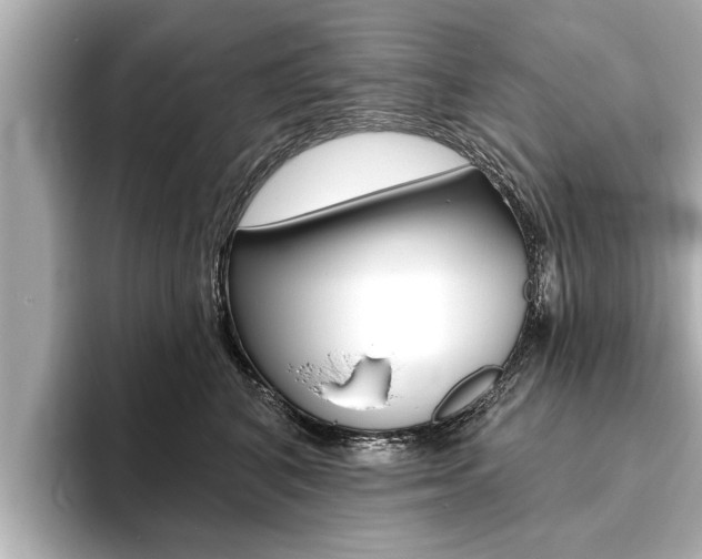 X0000093760616200710160837