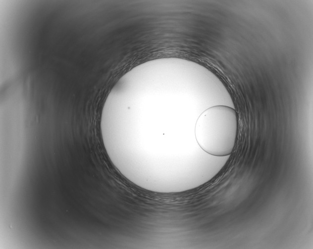 X0000093760617200710160837