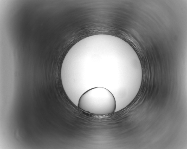 X0000093760621200710160837