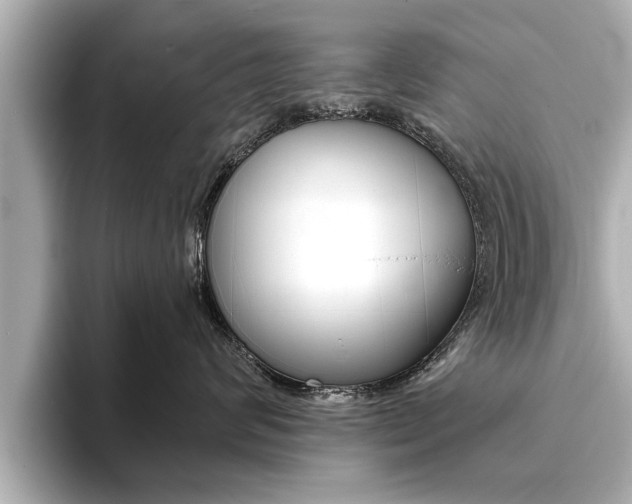 X0000093760624200710160837