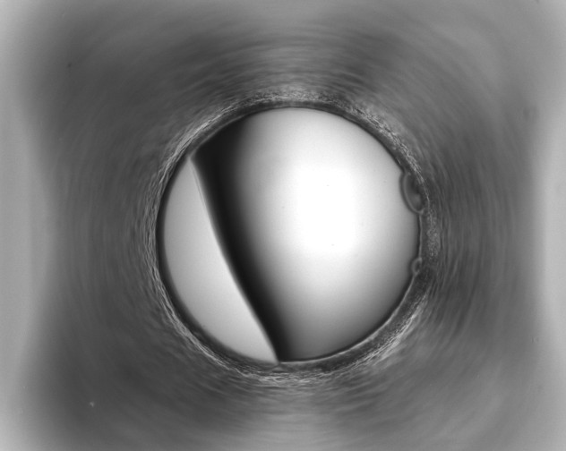 X0000093760625200710160837