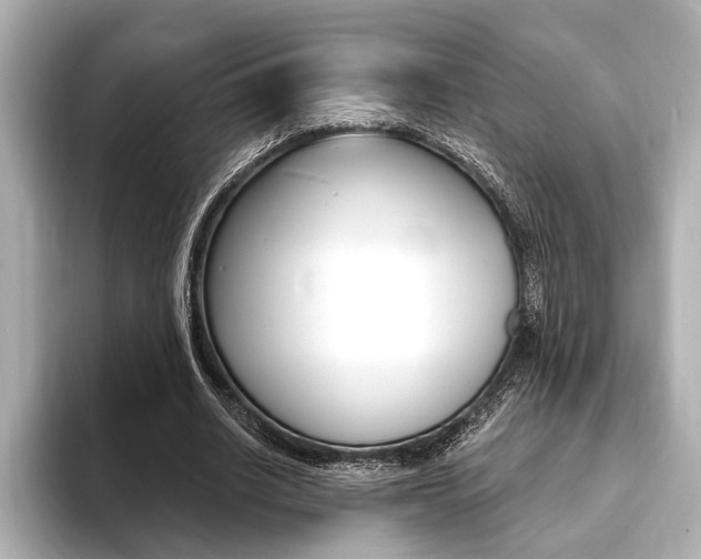 X0000093760630200710160837