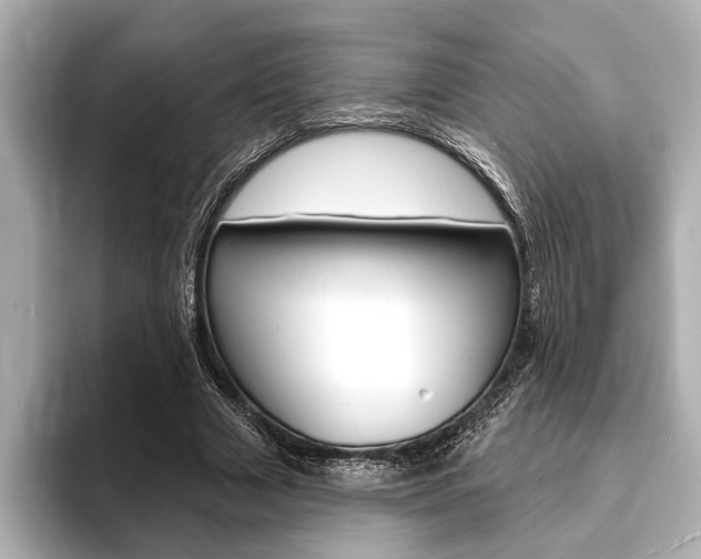 X0000093760633200710160837