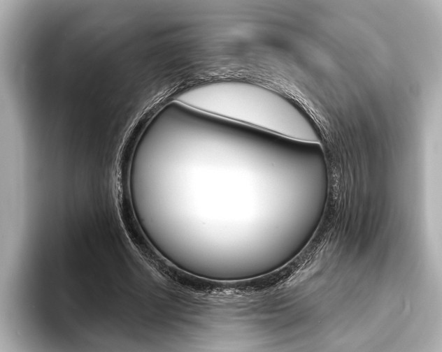 X0000093760634200710160837