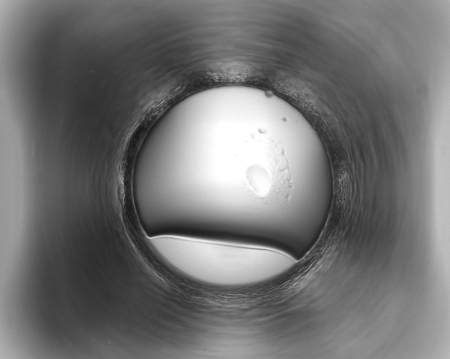 X0000093760638200710160837